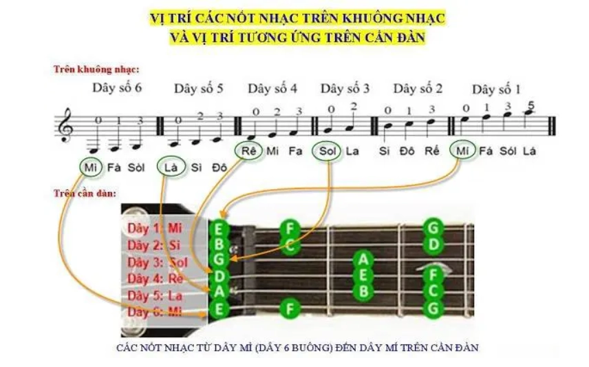 bấm nốt guitar