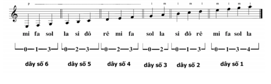 bấm nốt guitar