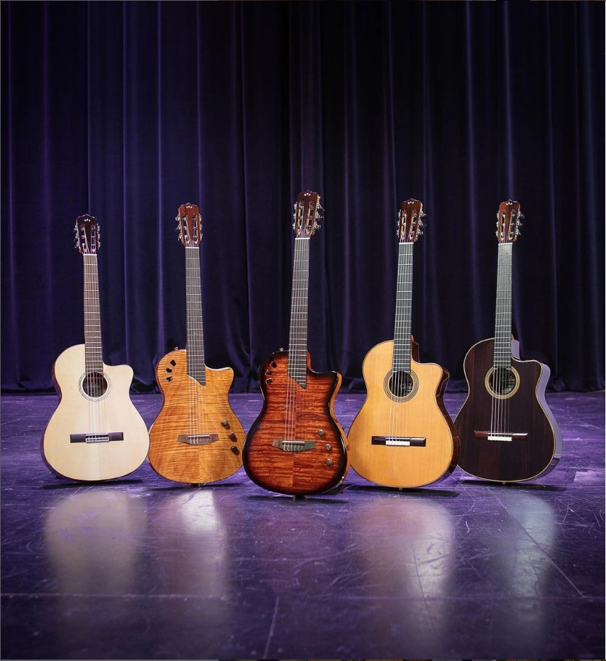 đàn guitar cao cấp
