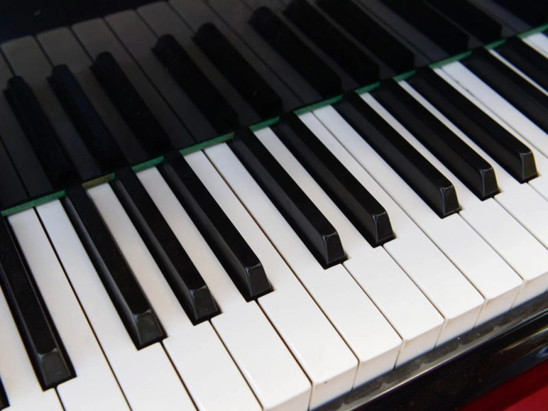 dan-organ-khac-dan-piano-nhu-the-nao