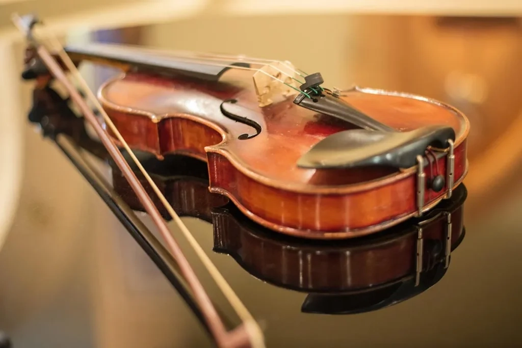 dan-violin-dat-nhat-the-gioi