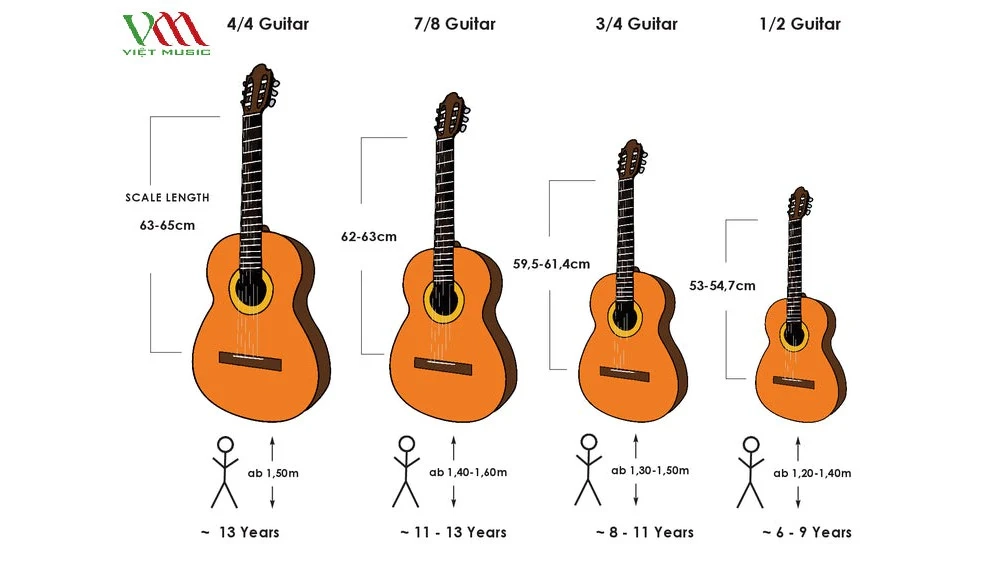Kích thước đàn guitar: Hướng dẫn chọn mua chi tiết cho mọi người