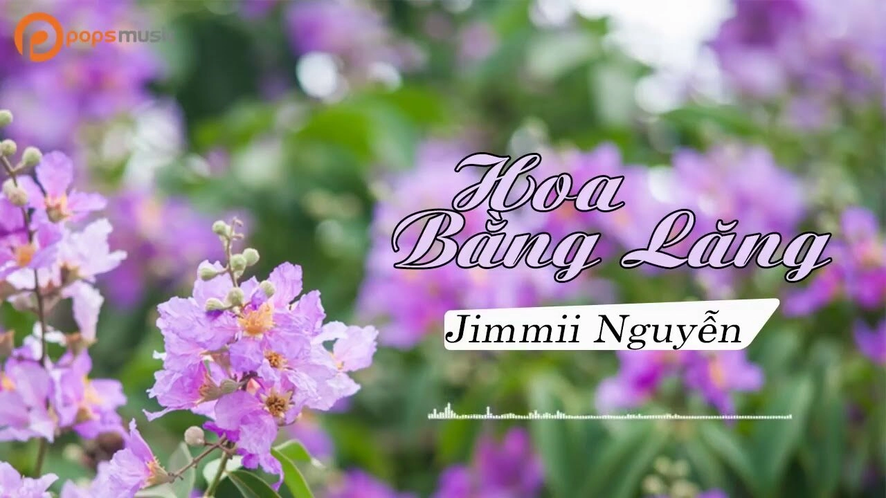 Hoa Bằng Lăng – Jimmii Nguyễn | Lời bài hát, MV, Hợp âm