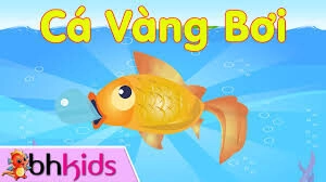 Cá vàng bơi​​ - Hà My | Lời bài hát, hợp âm, MV