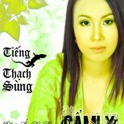 Chiếc Áo Bà Ba - Cẩm Ly | Lời bài hát, hợp âm, MV