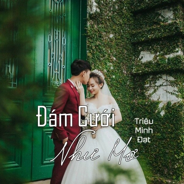 Đám Cưới Như Mơ - Quang Linh | Lời bài hát, hợp âm, MV