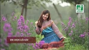 Em Chọn Lối Này - Lan Anh | Lời bài hát, hợp âm, MV