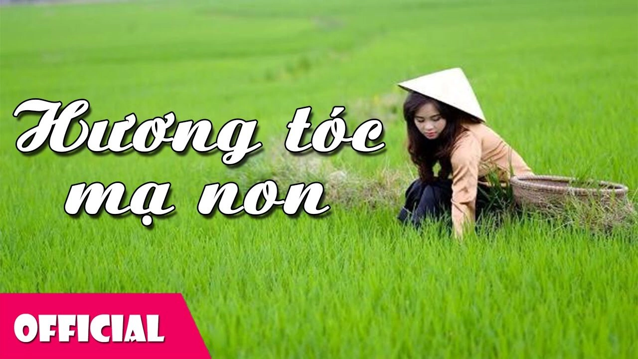 Hương Tóc Mạ Non - Lưu Ánh Loan | Lời bài hát, hợp âm, MV