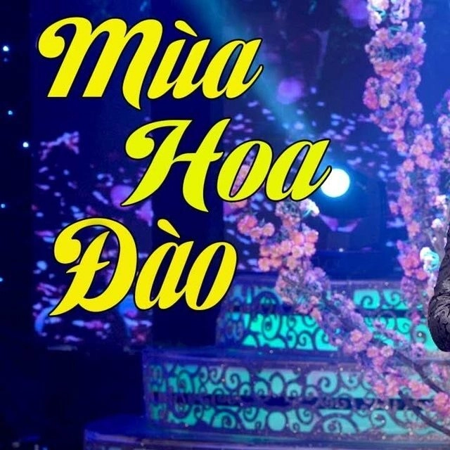 Mùa Hoa Đào (Tân Cổ)  - Nguyễn Kha | Lời bài hát, hợp âm, MV