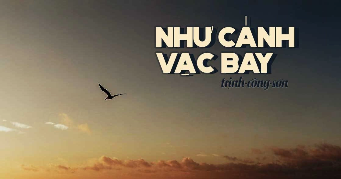 Như cánh vạc bay - Trịnh Công Sơn | Lời bài hát, hợp âm, MV