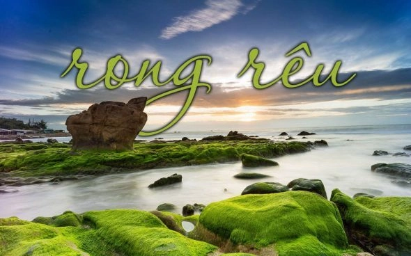 Rong Rêu - Lưu Chí Vỹ, Dương Thái Bảo | Lời bài hát, hợp âm, MV